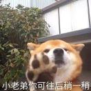 竹二的个人资料头像