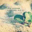 以后就是我的个人资料头像