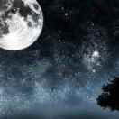 夏天下雨的个人资料头像