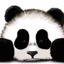 J的个人资料头像