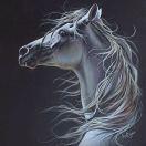 艳子酱的个人资料头像