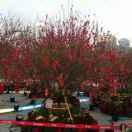 谭尚华的个人资料头像