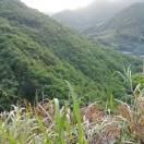 easygo的个人资料头像