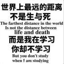 吾爱有三的个人资料头像