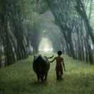 莫欺少年穷在掘金的个人资料头像