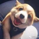 用户491167342563的个人资料头像