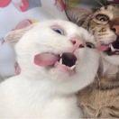 IMLucky66105的个人资料头像