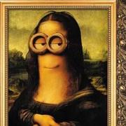 hsahe的个人资料头像