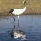 折腾吧馄饨的个人资料头像