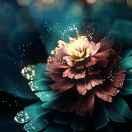 点点同学66278的个人资料头像