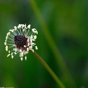 长流仙山拟画人的个人资料头像