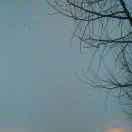 无语_的个人资料头像