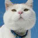 圆圆我是毛毛的个人资料头像