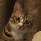 蹿天猴的个人资料头像