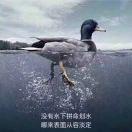 seven同志66407的个人资料头像