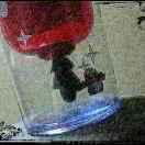 mrG66440的个人资料头像