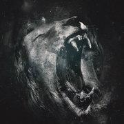 AZcode的个人资料头像