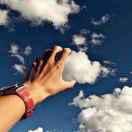 木子的个人资料头像