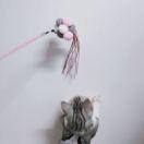 爱学习66493的个人资料头像