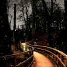 暮雨灬倾晨的个人资料头像