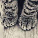 EricaGuo的个人资料头像