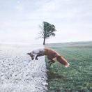 BAI66525的个人资料头像