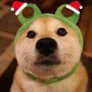 谢芒奇的个人资料头像