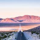 杜仲的个人资料头像