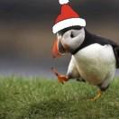 安语默的个人资料头像