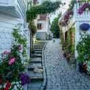 最近的人的个人资料头像