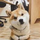 此广告位常年出租的个人资料头像