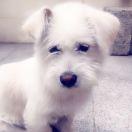 叶庚的个人资料头像