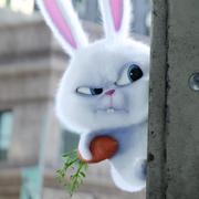 ocian的个人资料头像