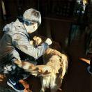 朋克小酱的个人资料头像