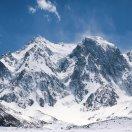 牙膏味道的个人资料头像