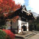 QXJun的个人资料头像