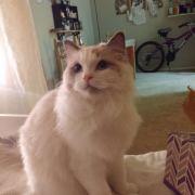 0x39的个人资料头像