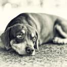 睡的个人资料头像