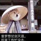 用户6887893869的个人资料头像