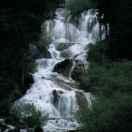 糊的个人资料头像