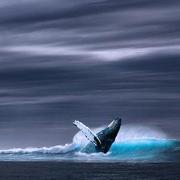 lilinyu861的个人资料头像