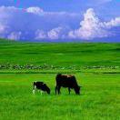 飞呀的个人资料头像