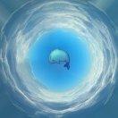 椿眠不觉晓的个人资料头像