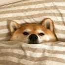 萧洛宇的个人资料头像