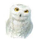 一路学习的个人资料头像