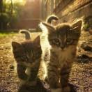 握不住的指间沙的个人资料头像