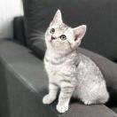 PEN67014的个人资料头像