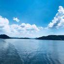 han爱学习67017的个人资料头像