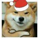 sshpark的个人资料头像