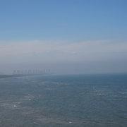 一条坚忍的鱼的个人资料头像